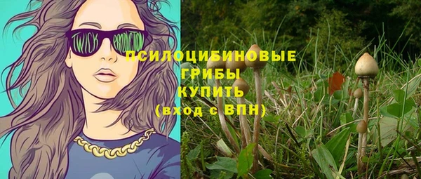 метадон Заводоуковск