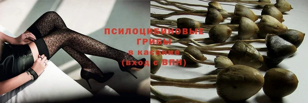 метадон Заводоуковск