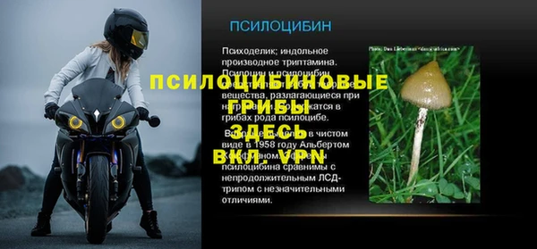 метадон Заводоуковск