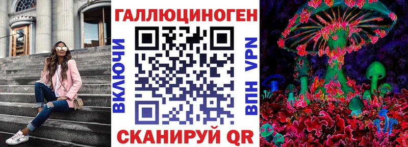 Купить закладки  Кохма  Галлюциногенные грибы Psilocybine cubensis 