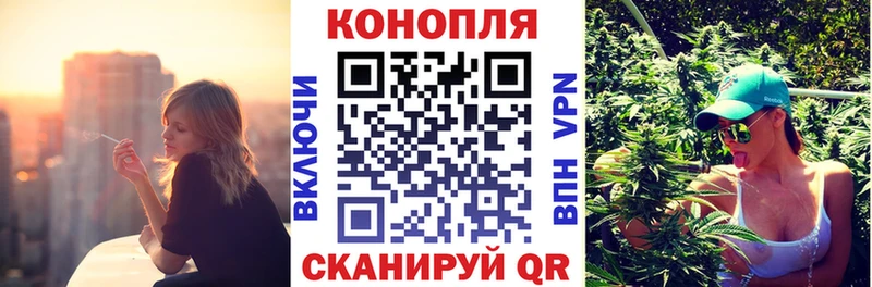 Купить где  Кохма  Бошки Шишки Amnesia 